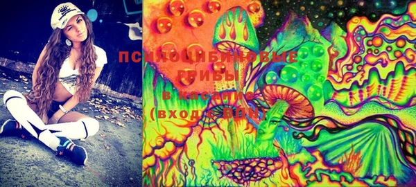 шишки Чердынь