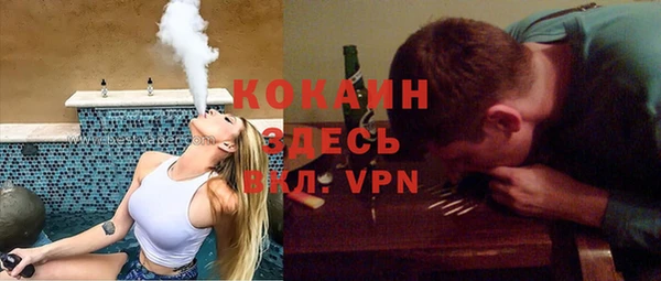 индика Гусиноозёрск