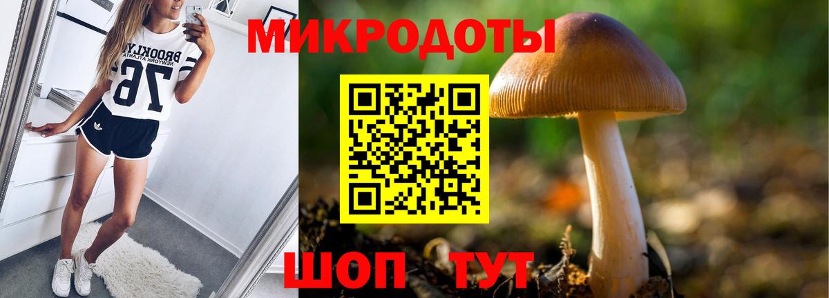 Галлюциногенные грибы Psilocybe Нефтекамск